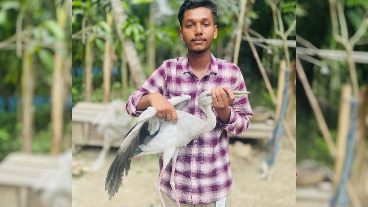 মনিরামপুরে আহত এশীয় শামুকখোল উদ্ধার ও বনবিভাগে হস্তান্তর