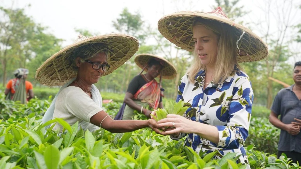 চা শ্রমিকদের চক্ষুসেবা বাড়াবে অরবিস ইন্টান্যাশনাল