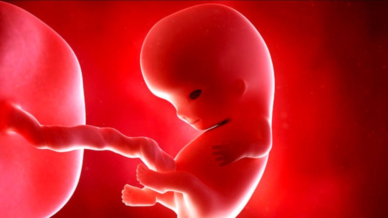 রূপগঞ্জে পেটে লাথি মেরে গর্ভের সন্তান হত্যার অভিযোগ