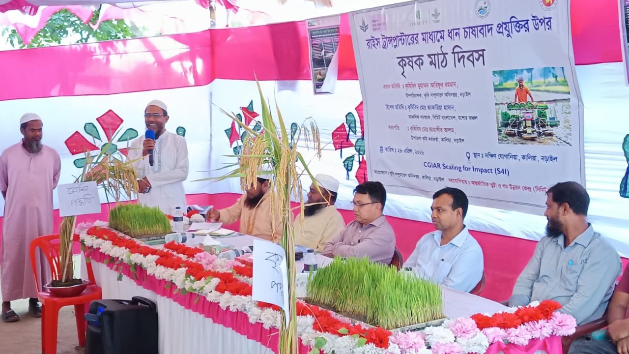 কালিয়ায় রাইস ট্রান্সপ্লান্টারের মাধ্যমে ধান চাষাবাদ প্রযুক্তি নিয়ে কৃষক মাঠ দিবস ও নমুনা শস্য কর্তন