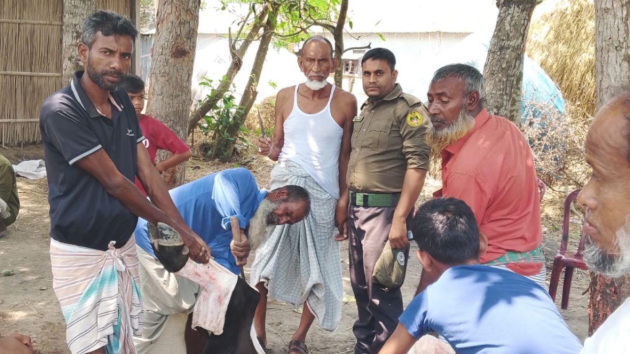  পাবনা জেলার ফরিদপুর উপজেলায় কোরবানির পশুর চামড়ার গুণগত মান রক্ষায় আনসার ও গ্রাম প্রতিরক্ষা বাহিনীর সদস্যরা